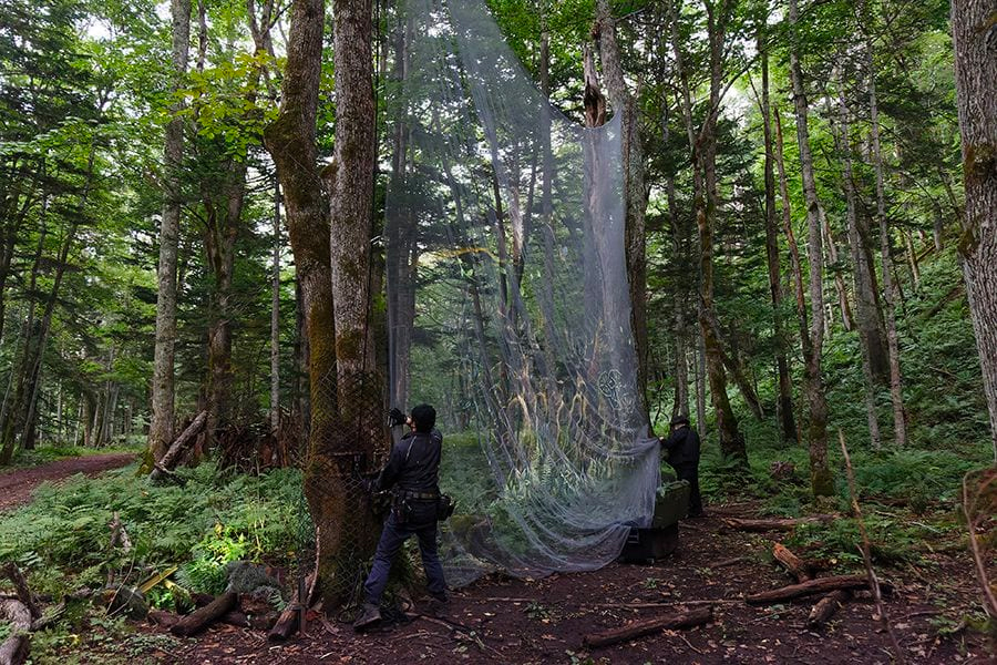 案例｜老子有钱官网为壮观的Kamuy Lumina魔法夜行旅游项目提供配乐设备